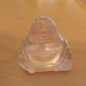 Meet your Posher, Dani